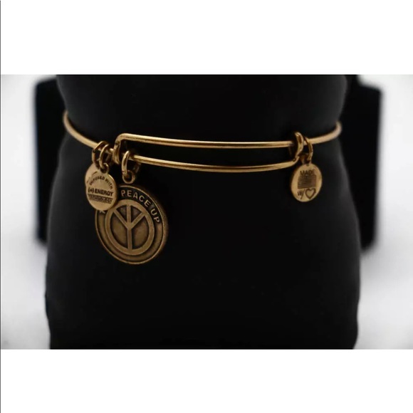 🆕 | Alex and Ani | Bracelet - Picture 7 of 8
